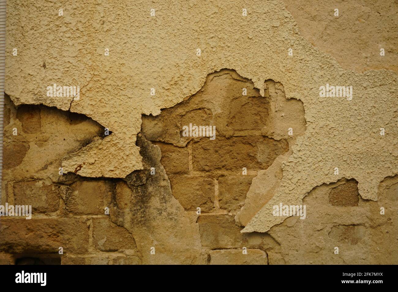 Human Face appears in cracked plaster on a wall Pareidolia is the tendency for incorrect perception of a stimulus as an object, pattern or meaning kno Stock Photo