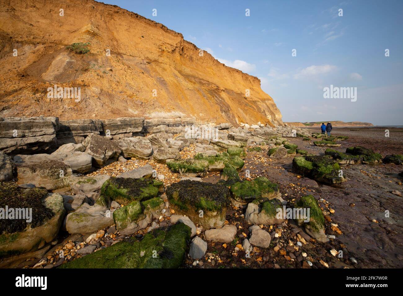 Compton,Bay,Iguanodon,footprint,casts,Wealden Beds,Geology,paleontology,sedimentary,erosion,Isle of Wight,England,UK, Stock Photo