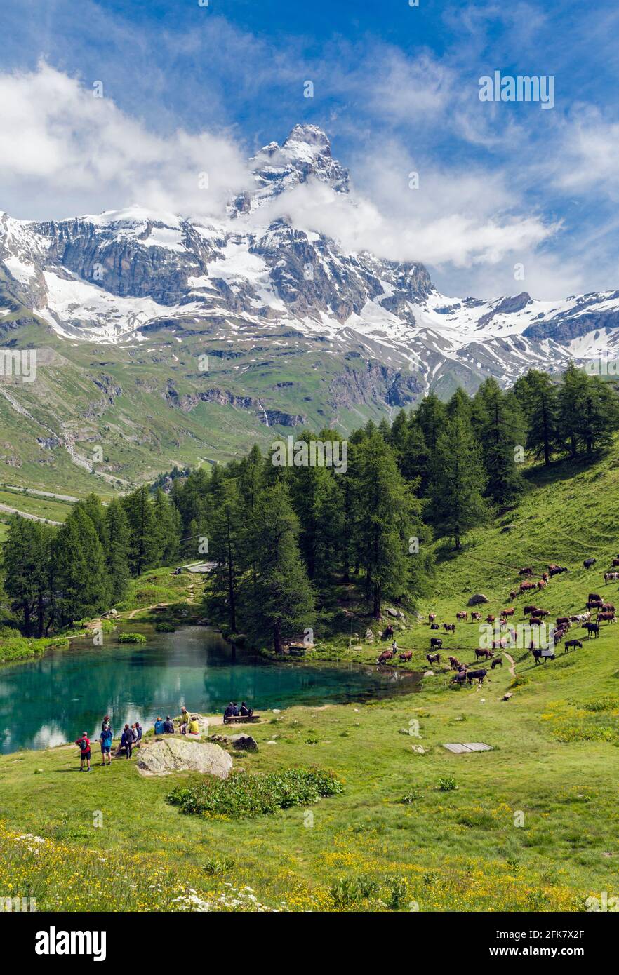near Valtournenche, Aosta Province, Aosta, Italy.  The Blue Lake (Lago Blu) with the Matterhorn in the background.  The Matterhorn straddles the borde Stock Photo