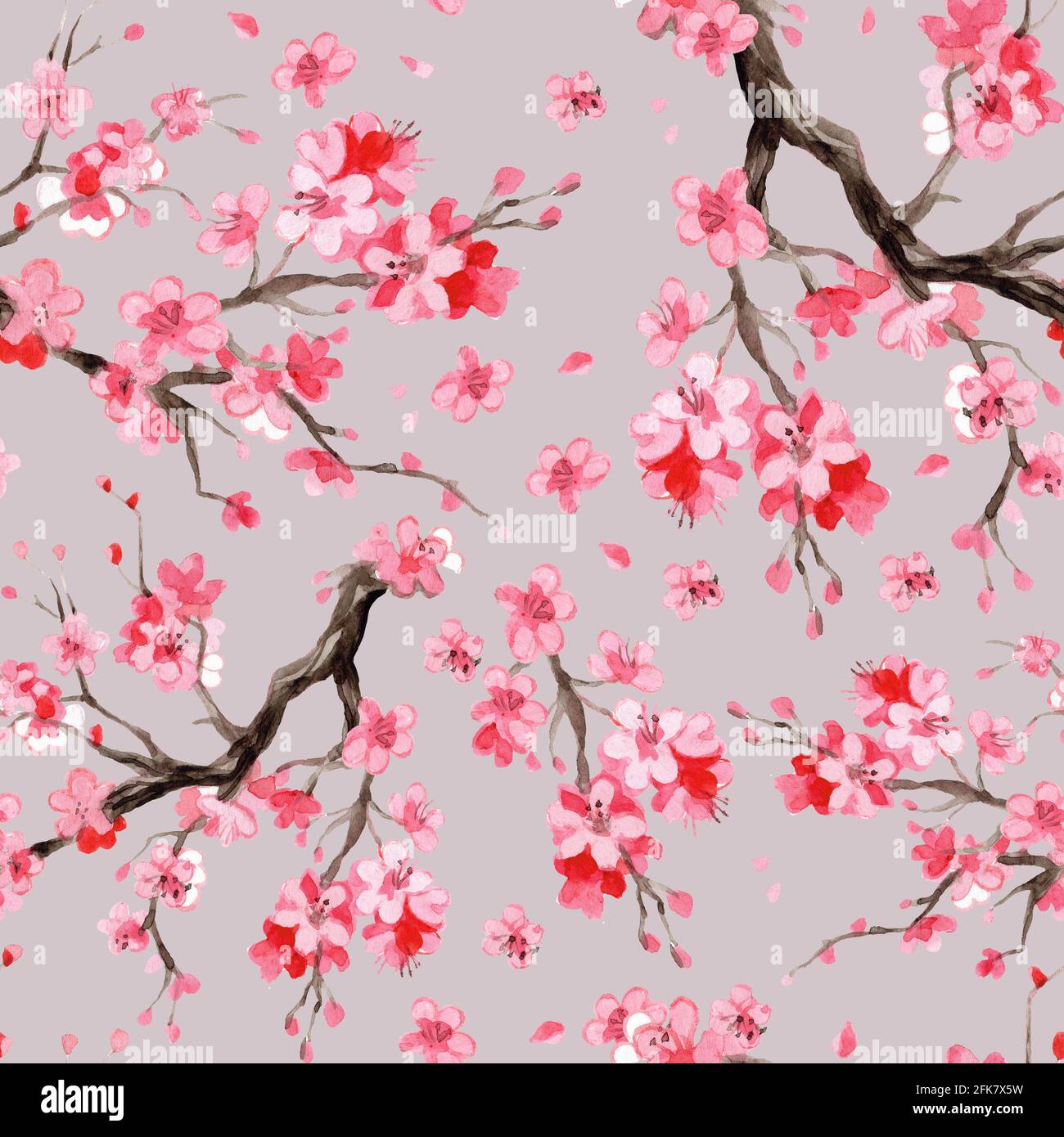 Seamless pattern with watercolor sakura. Hand drawn illustration cherry blossom branch with flowers on gray background. For design sushi restaurant me Stock Photo