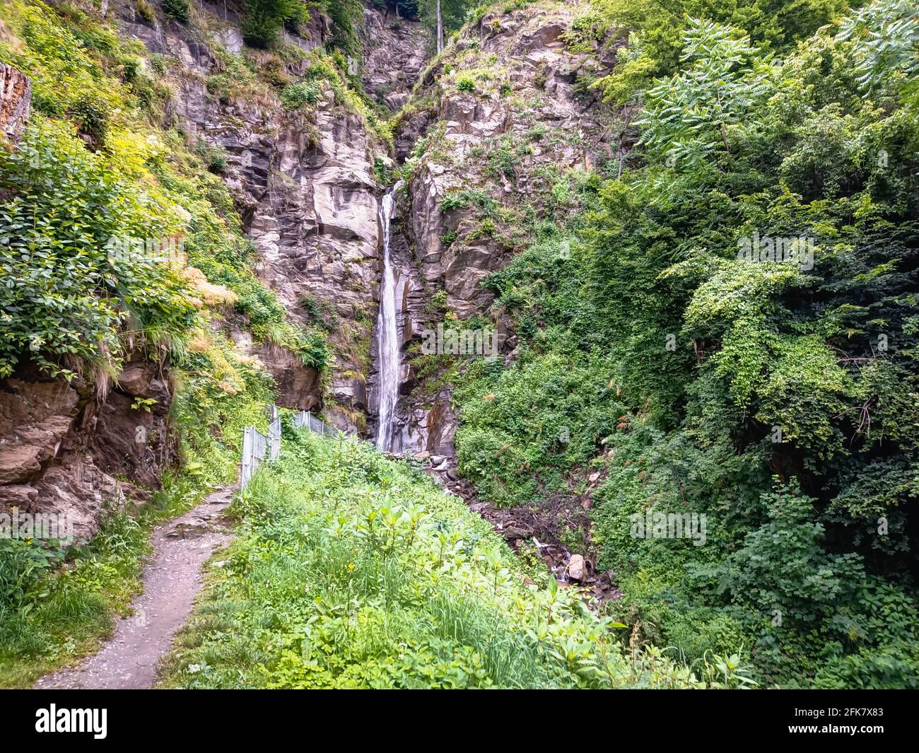 waterfall in forest trekking path in summer, European forest in Central Europe. Environment, ecology, clean water, climate change, eco nature Stock Photo