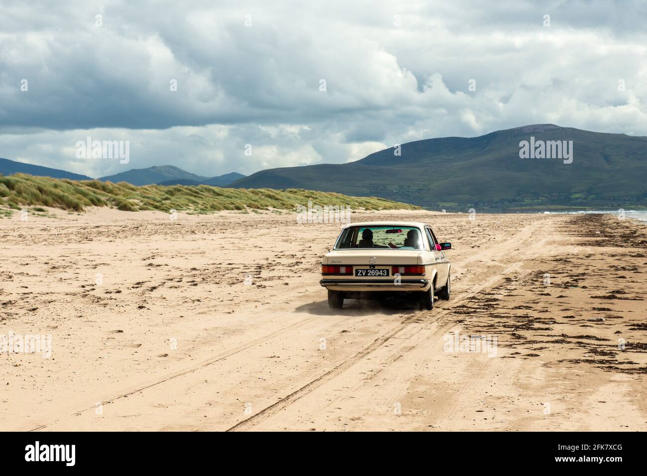 Mercedes model 200 with Irish vintage number plate speeding on the empty sandy Inch Beach at low tide, County Kerry, Ireland Stock Photo