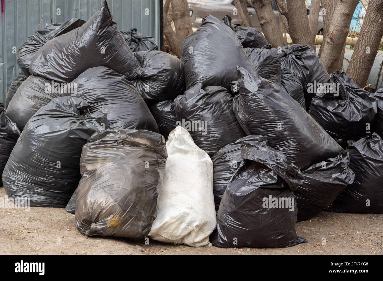 disposable garbage bags full of leaves and branches after trimming a garden  Stock Photo - Alamy