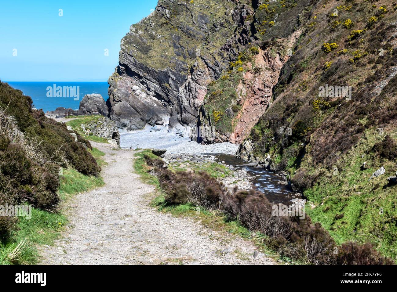 Footpath through country hiking route on a coastal walk uk Stock Photo