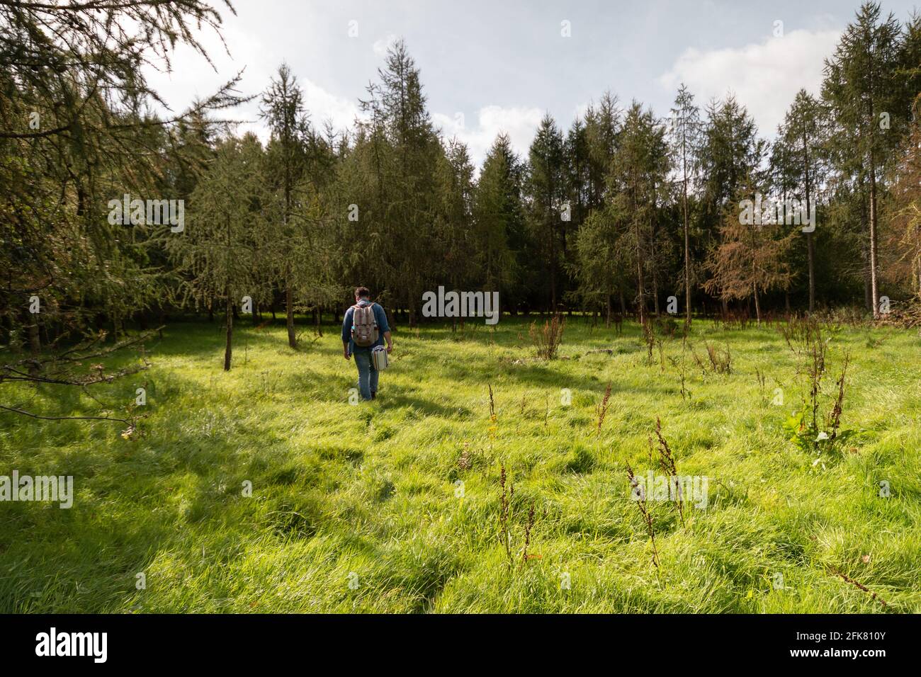 Man hiking in the woods hi-res stock photography and images - Alamy