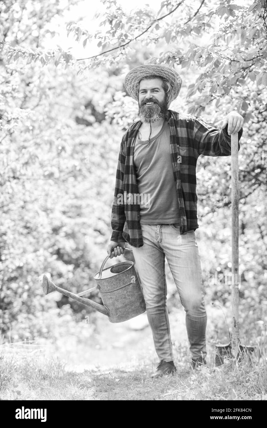 Gardening in vegetable garden. watering plants and flowers. Gardener digging with spade. mature agricultural worker with shovel and watering can Stock Photo