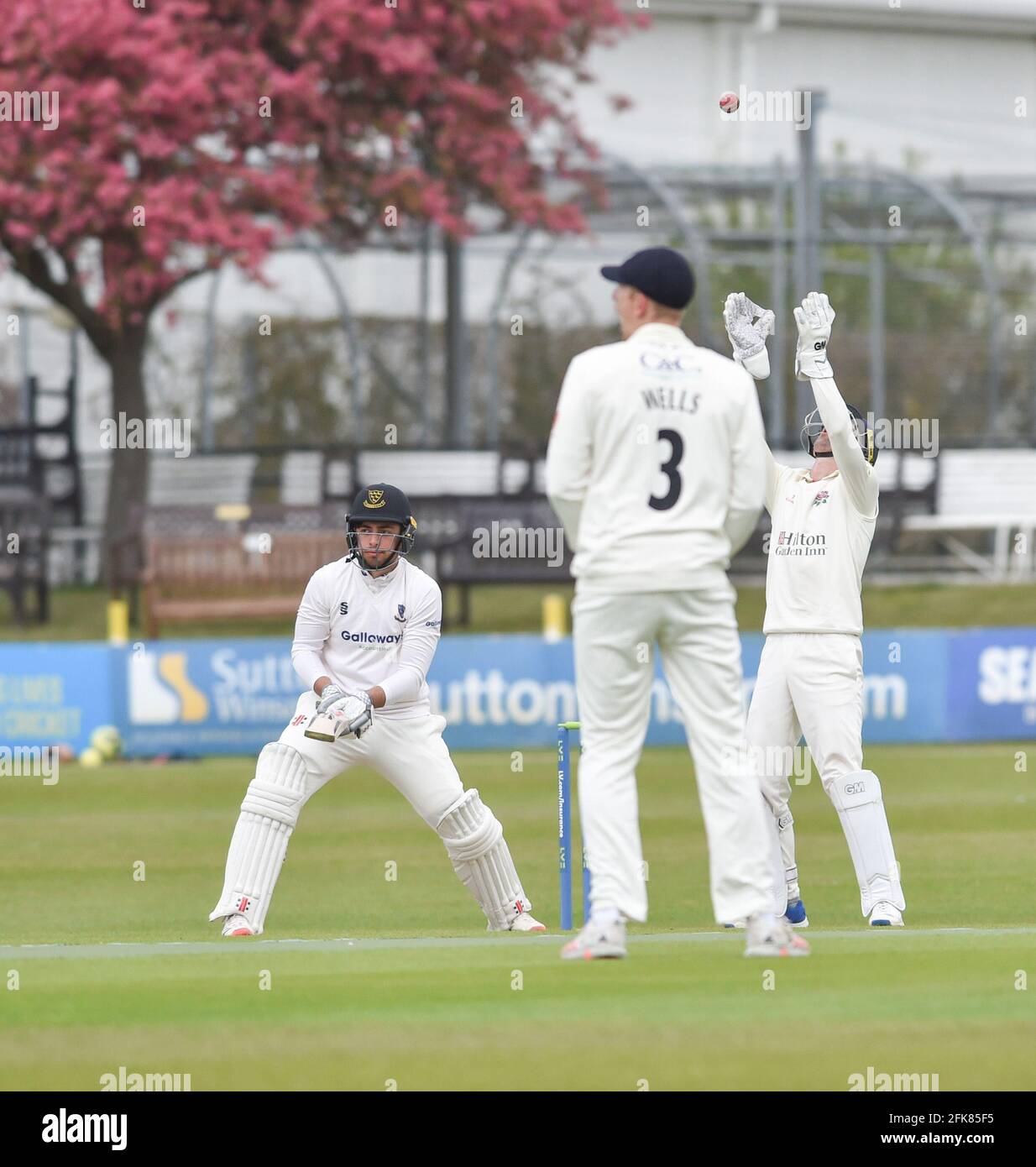 Hove UK 29th April 2021 - Tom Haines batting for Sussex against Lancashire on the first day of their LV= Insurance County Championship match at The 1st Central County Ground  in Hove . : Credit Simon Dack / Alamy Live News Stock Photo
