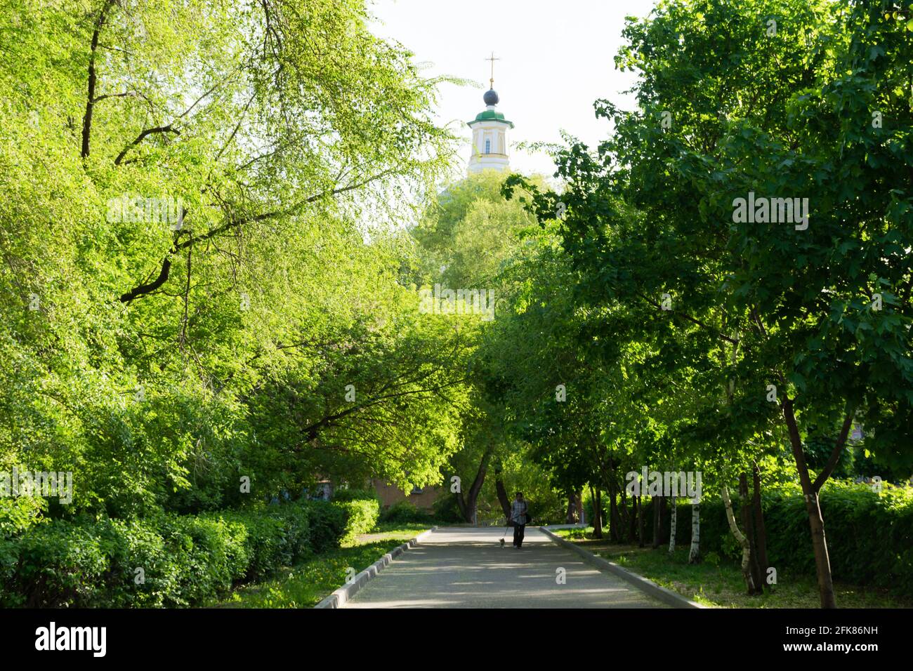 Voronezh Russia May 08 2019. The dome of the Resurrection Church on Ordzhonikidze Street among the green trees of the pedestrian alley. A woman walks Stock Photo