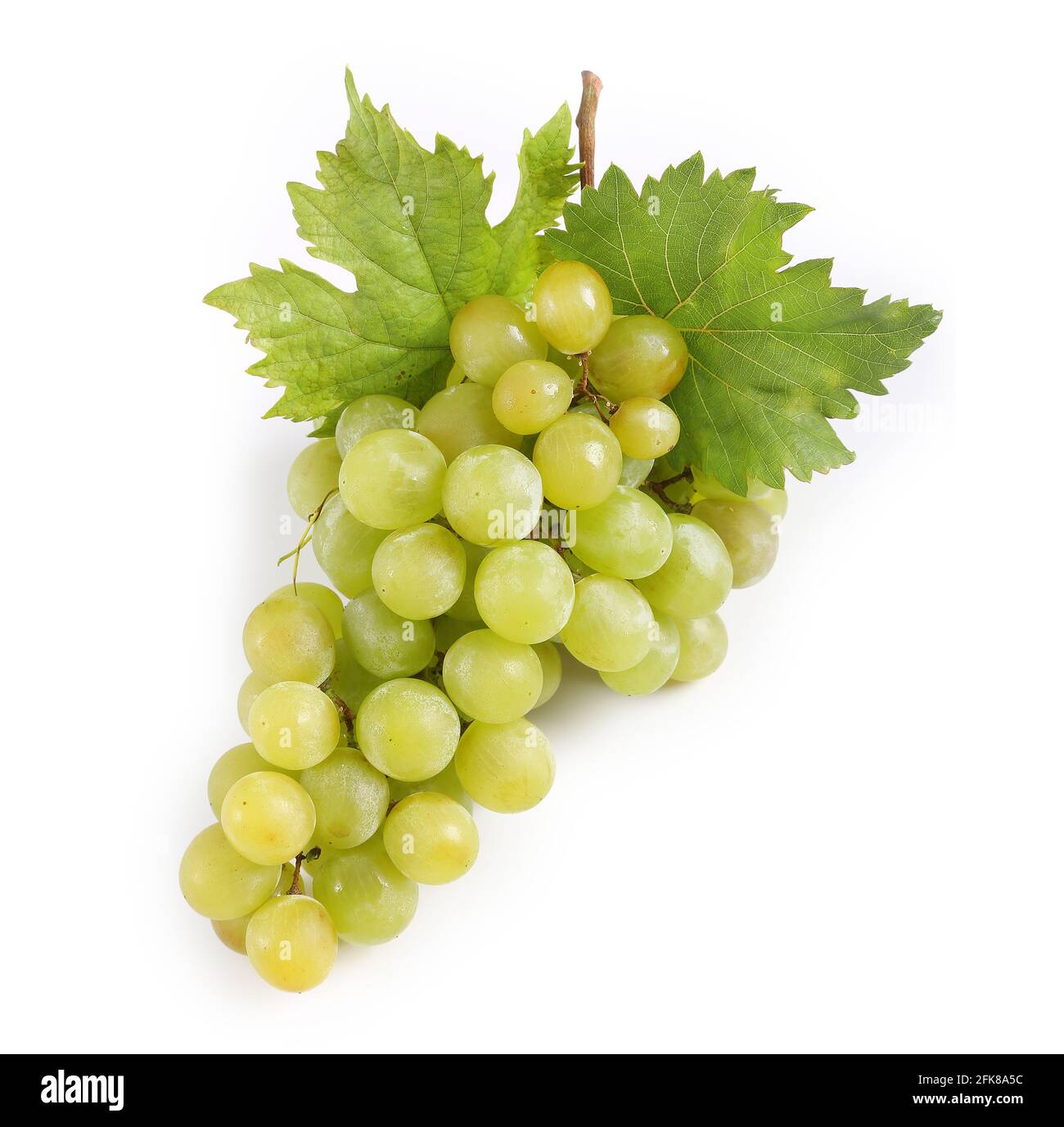 green grape isolated on white background Stock Photo