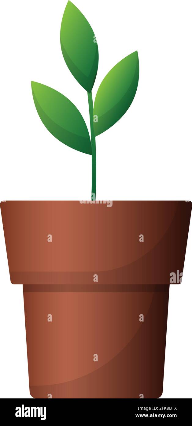 Home plant pot icon, cartoon style Stock Vector Image & Art - Alamy