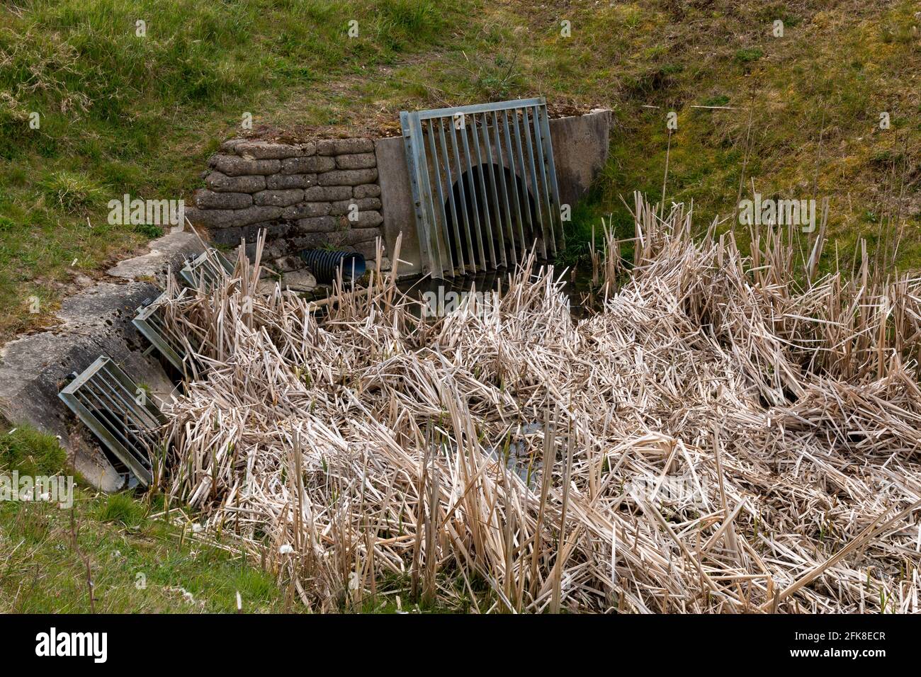 Large metal grates cover the openings of drainage pipes into a reed filled ditch.  Trumpington Meadows Country Park, Cambridge, UK. Stock Photo