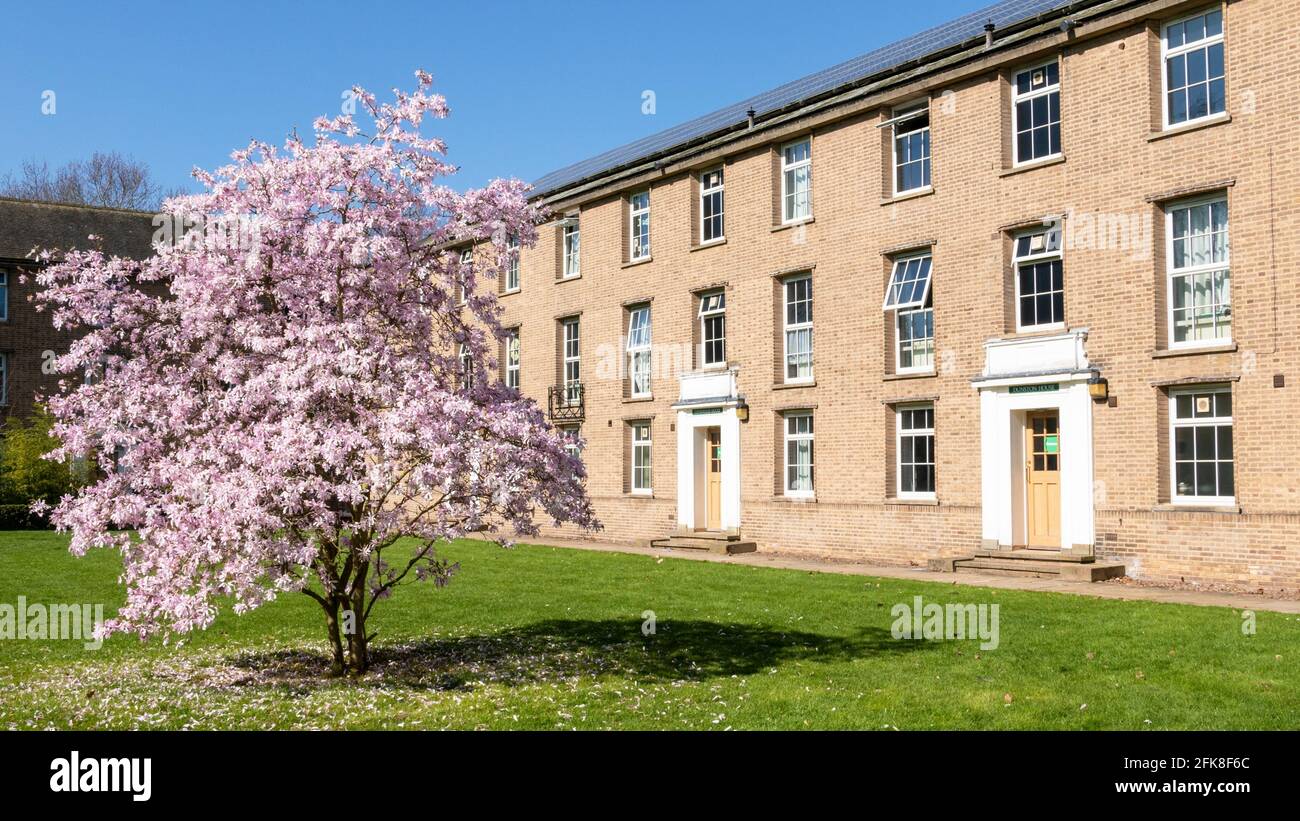 Lincoln hall main quadrangle hires stock photography and images Alamy