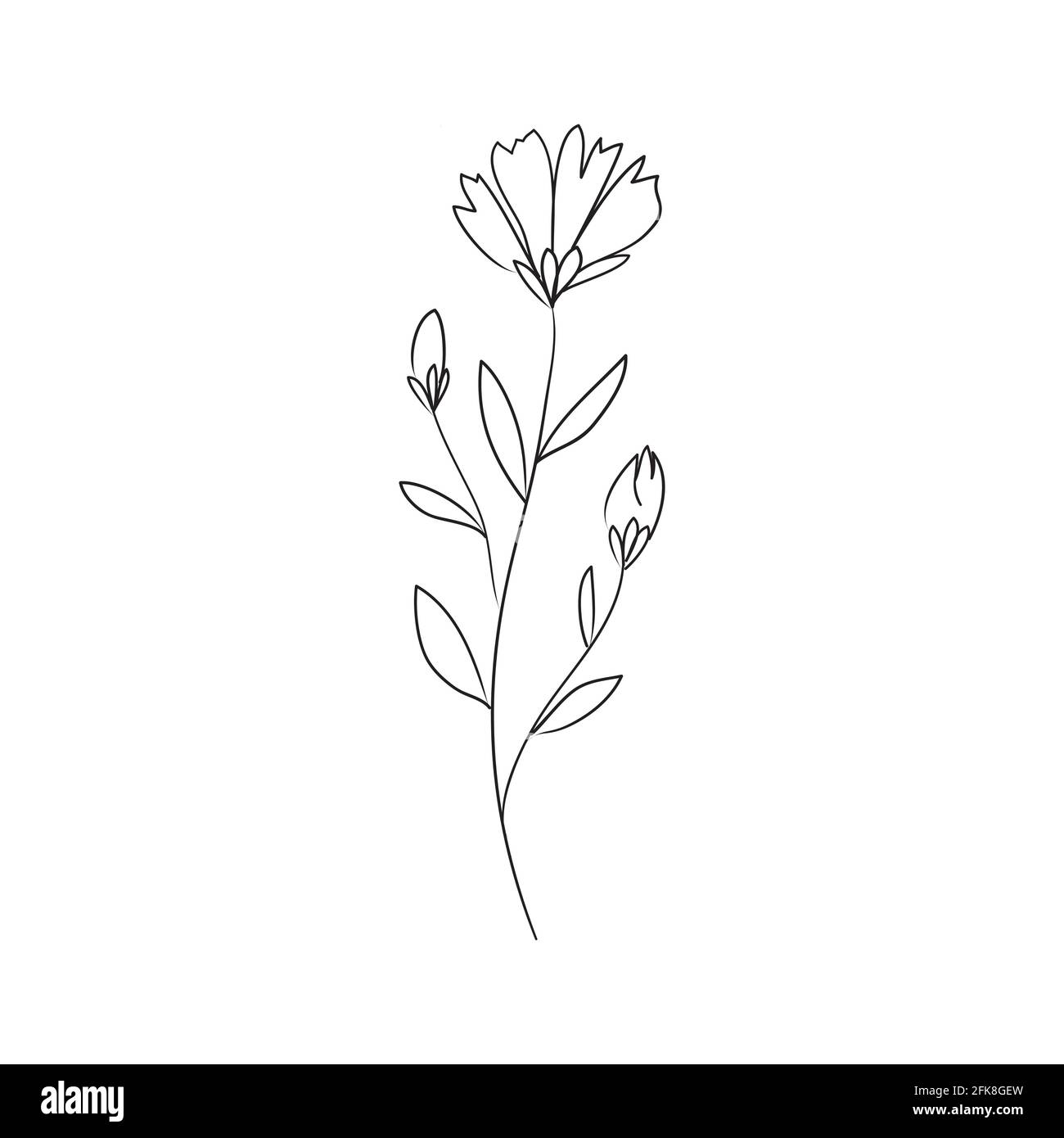 Sketch a leaf branch by hand on an isolated background. Vector, illustration Stock Vector