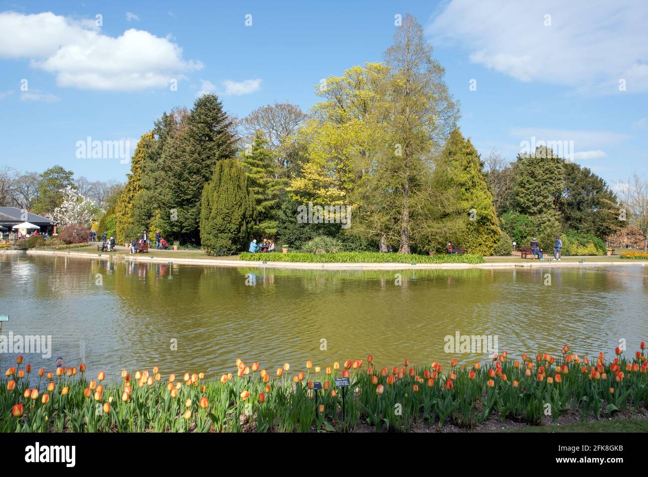 Burnby Hall Gardens in the Spring Stock Photo