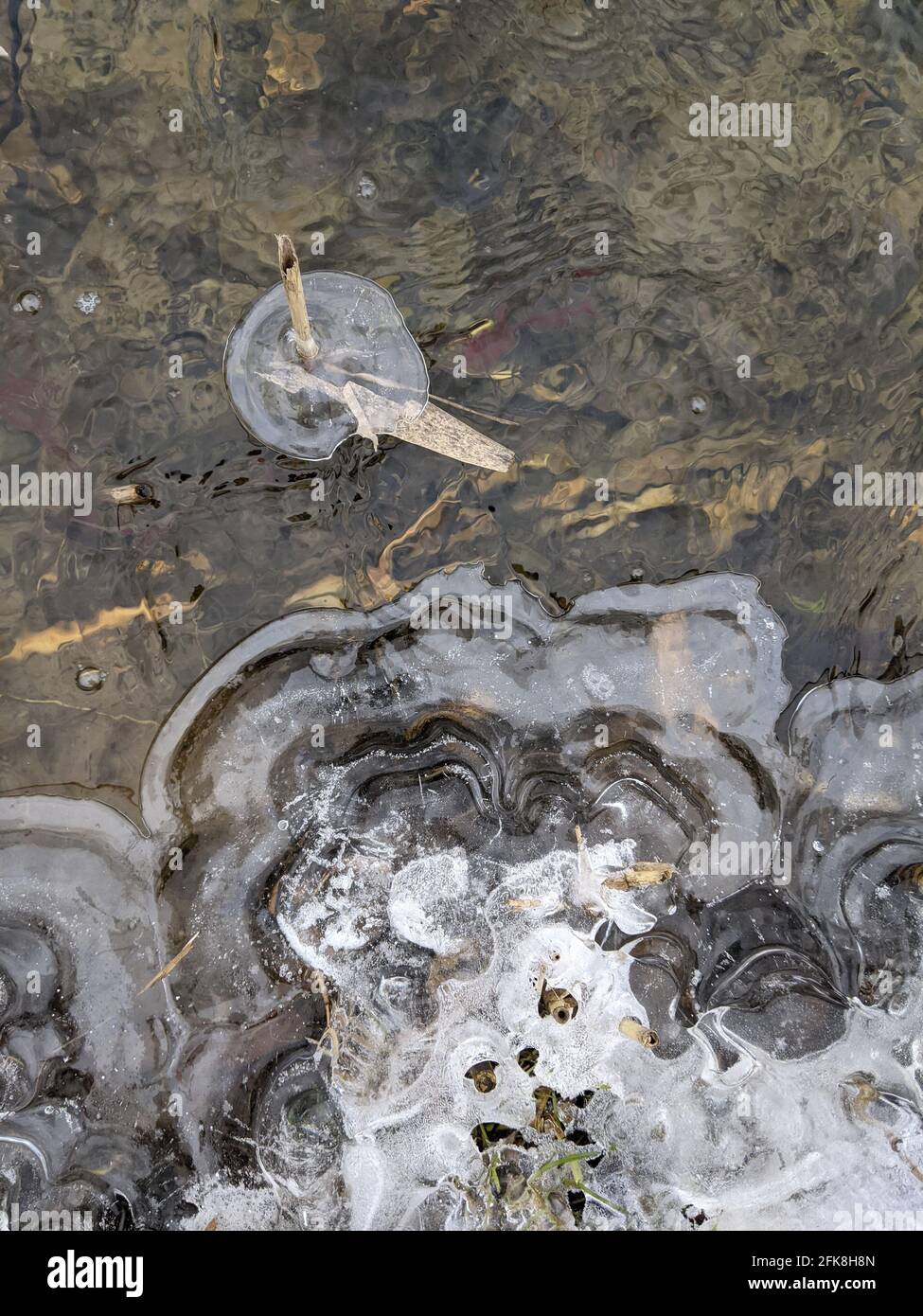 Water turns into ice on the river Stock Photo Alamy