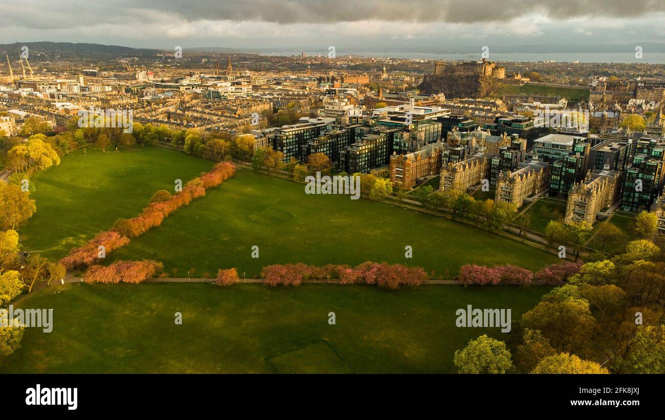 Aerial pictures Edinburgh's Meadows of which its cherry blossoms are in full bloom.  Credit: Euan Cherry Stock Photo