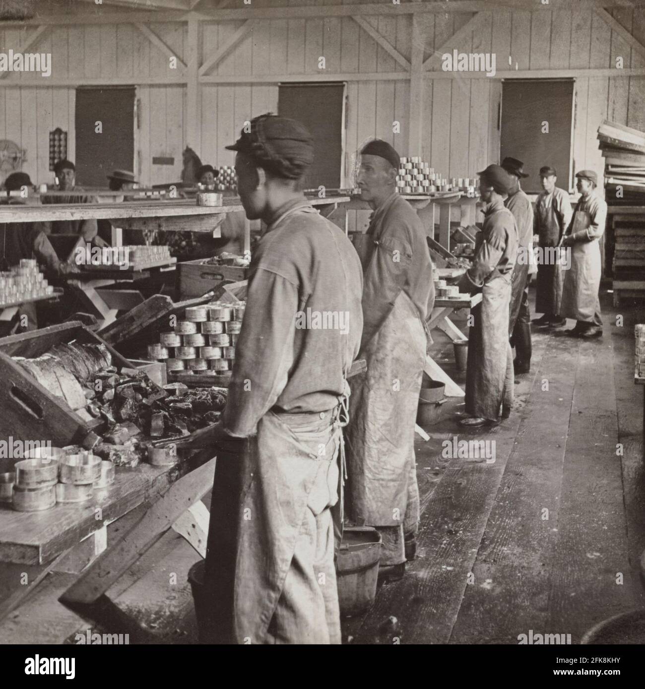 Chinamen filling the cans-interior of a canning establishment, Astoria, Ore., USA, 1905 Stock Photo