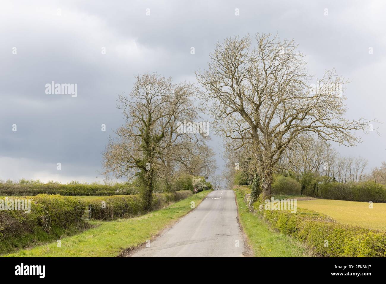 Yelvertoft, Northamptonshire, UK - April 29th 2021: A deserted country road runs between hedgerows and trees towards a hump backed bridge. Stock Photo