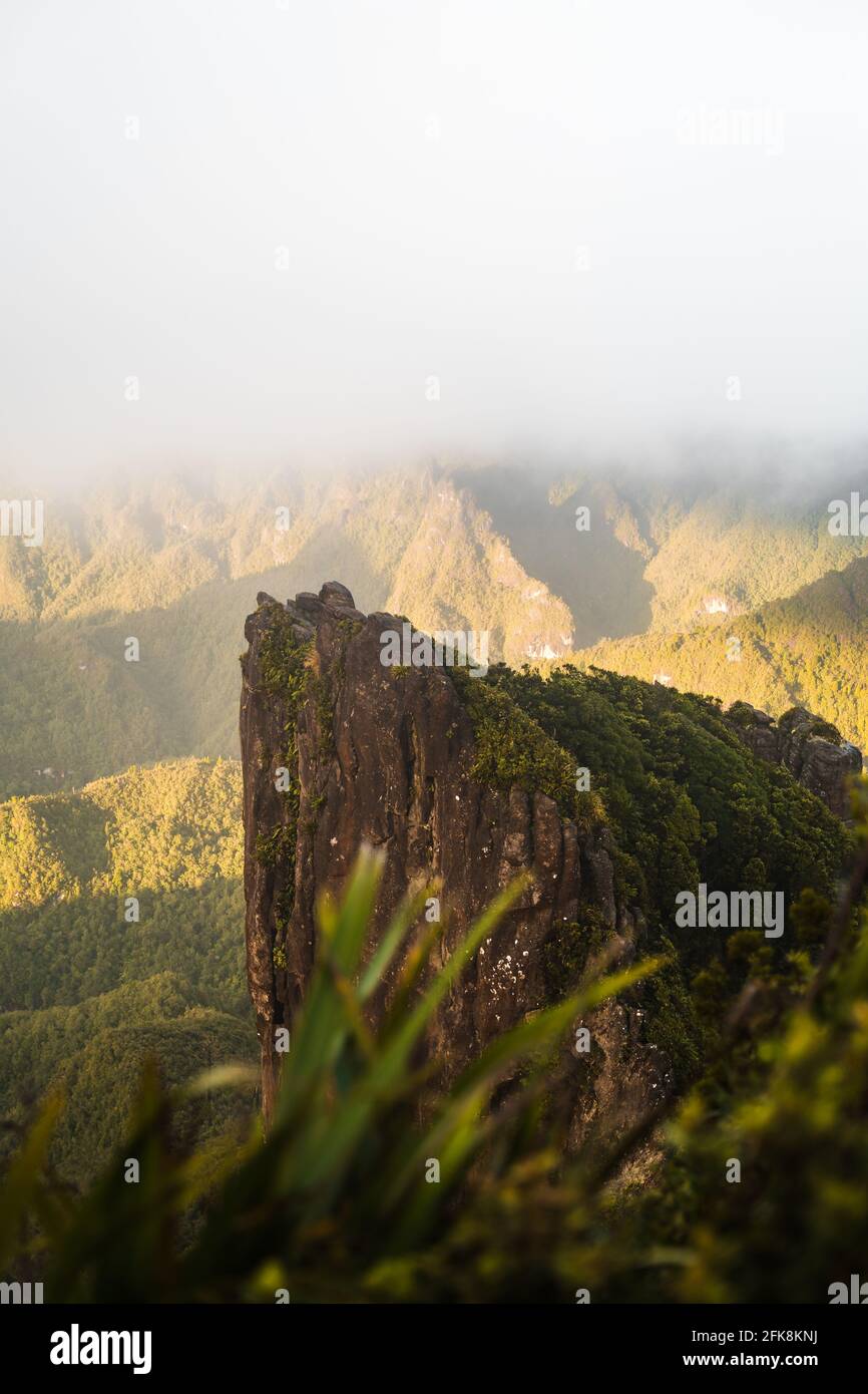 Vertical shot of a high rock in the forest on a foggy day Stock Photo ...