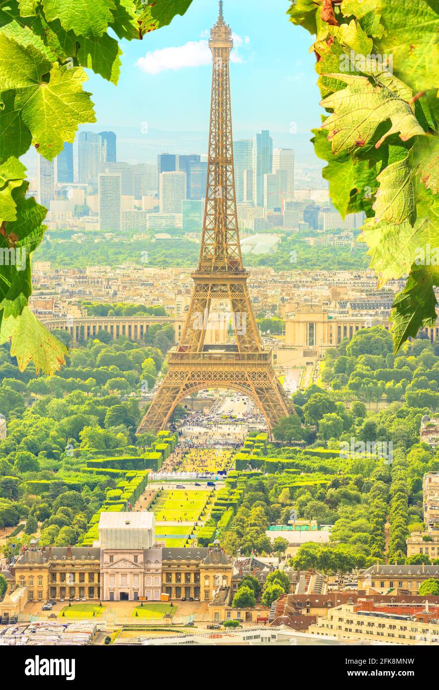 leaves branch in foreground and cityscape skyline of Paris with Eiffel Tower on background. Seasonal picturesque background in spring and summer Stock Photo