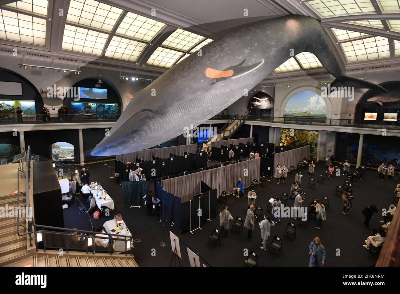 New york city under covid 19 hi-res stock photography and images - Alamy