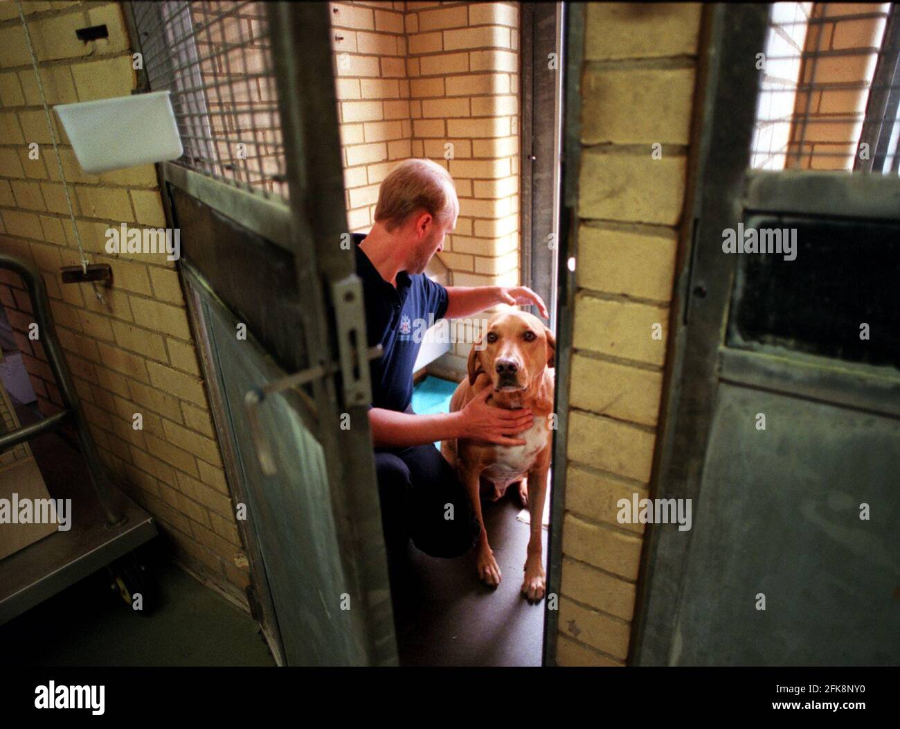 Can You Visit A Dog In Quarantine In Australia