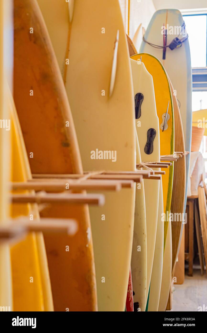 Row of retro vintage surfboards lined up in a local surf shop Stock