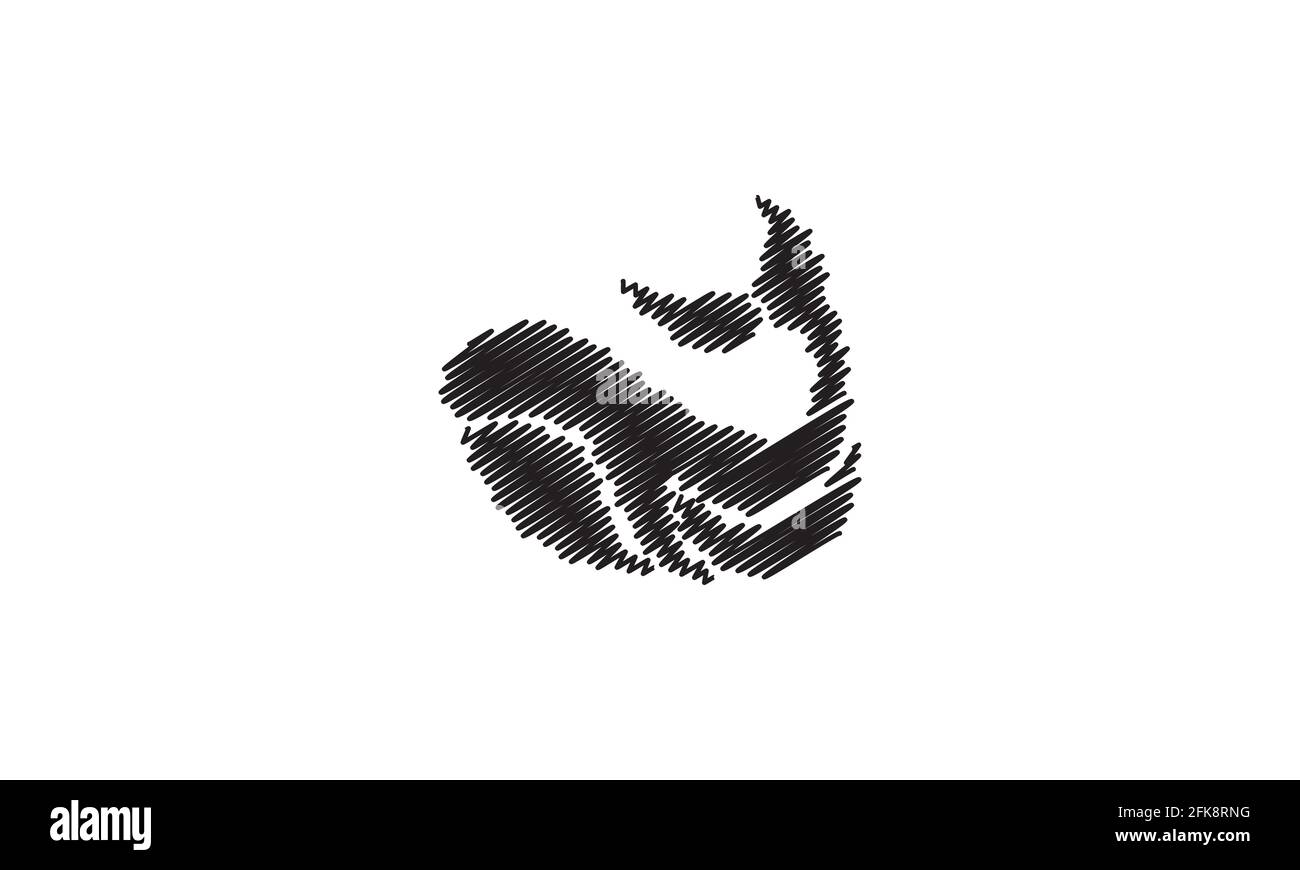 sketch fish mammal orca whale logo vector symbol icon design graphic illustration Stock Vector