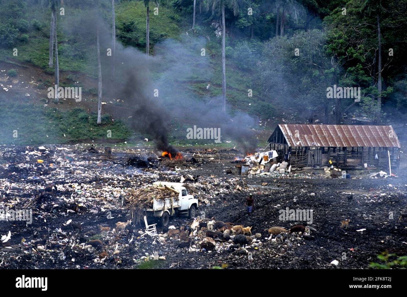 Dominikanische Republik, Müllkippe (mit Schweinen und Ziegen) vor den Toren von Puerto Plata. Maggiolo. Stock Photo