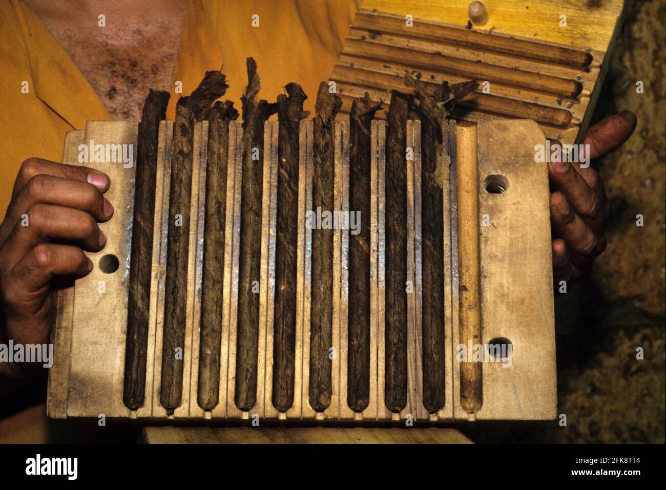 Dominikanische Republik, Zigarren-Herstellung von Hand, in einer Tabak-Manufaktur in Santo Domingo (Cohiba) Stock Photo