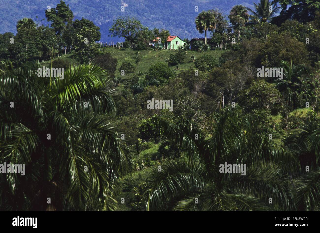 Dominikanische Republik, Landschaft mit Campessino-Hütte, bei Altamira Stock Photo