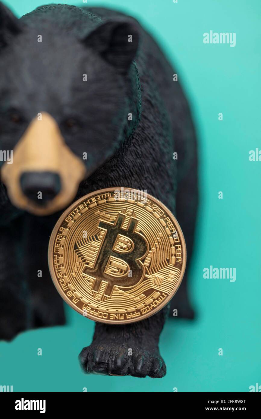 Bitcoin cryptocurrency coin with a grizzly bear. Bearish bitcoin trading  Stock Photo - Alamy