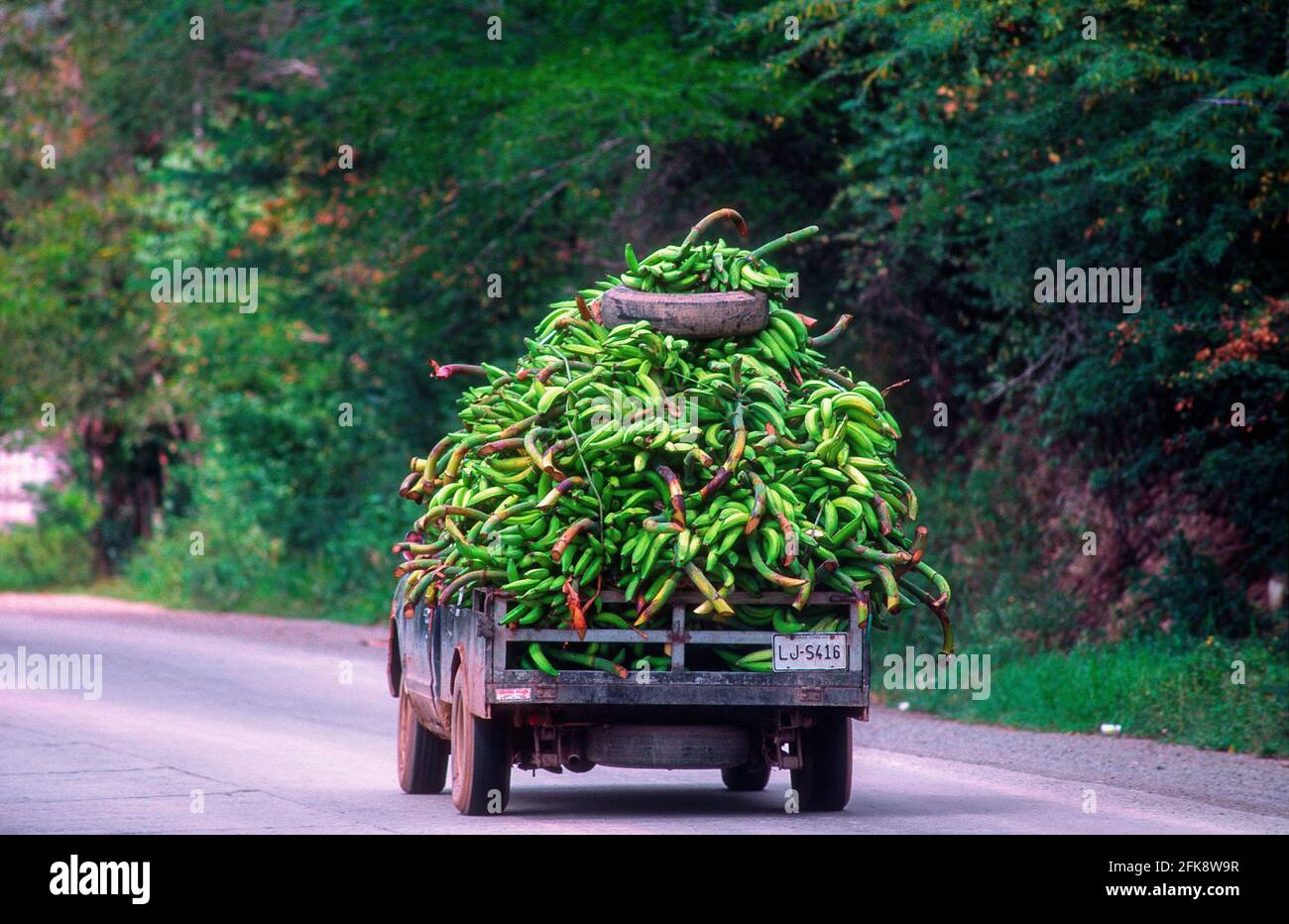 Dominikanische Republik, Kleintransporter mit Bananen auf dem Weg nach Santo Domingo. Stock Photo