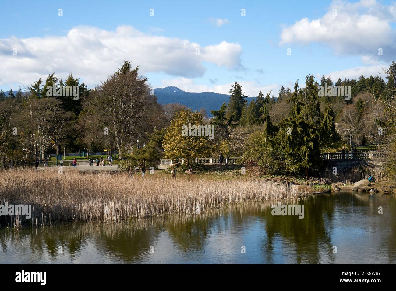 Pond in Devonian Harbour Park at the entrance to Stanley Park, Vancouver, British Columbia, Canada Stock Photo