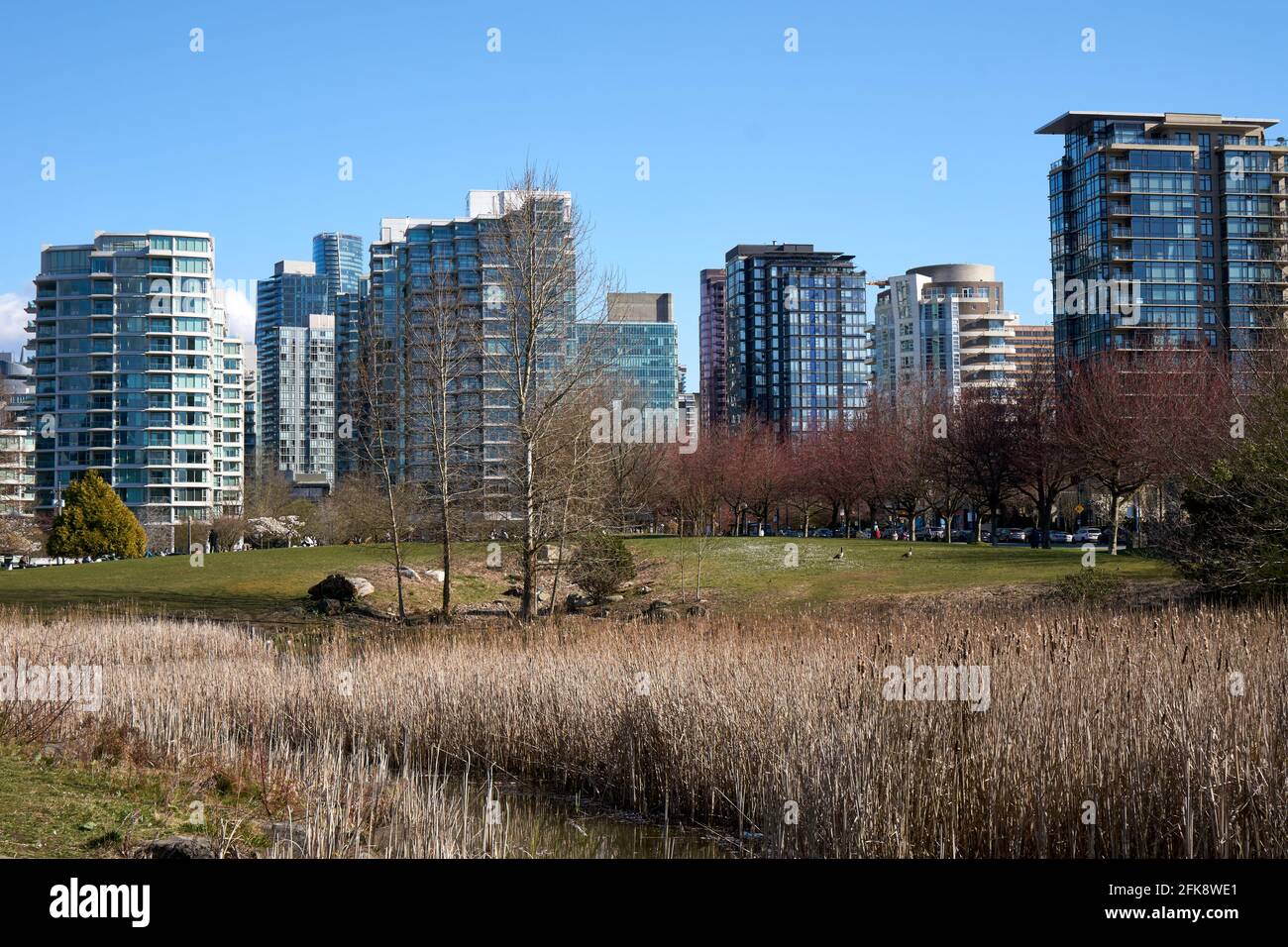 View of high-rise residential buildings in Coal Harbour from Devonian Harbour Park at entrance to Stanley Park, Vancouver, British Columbia, Canada Stock Photo