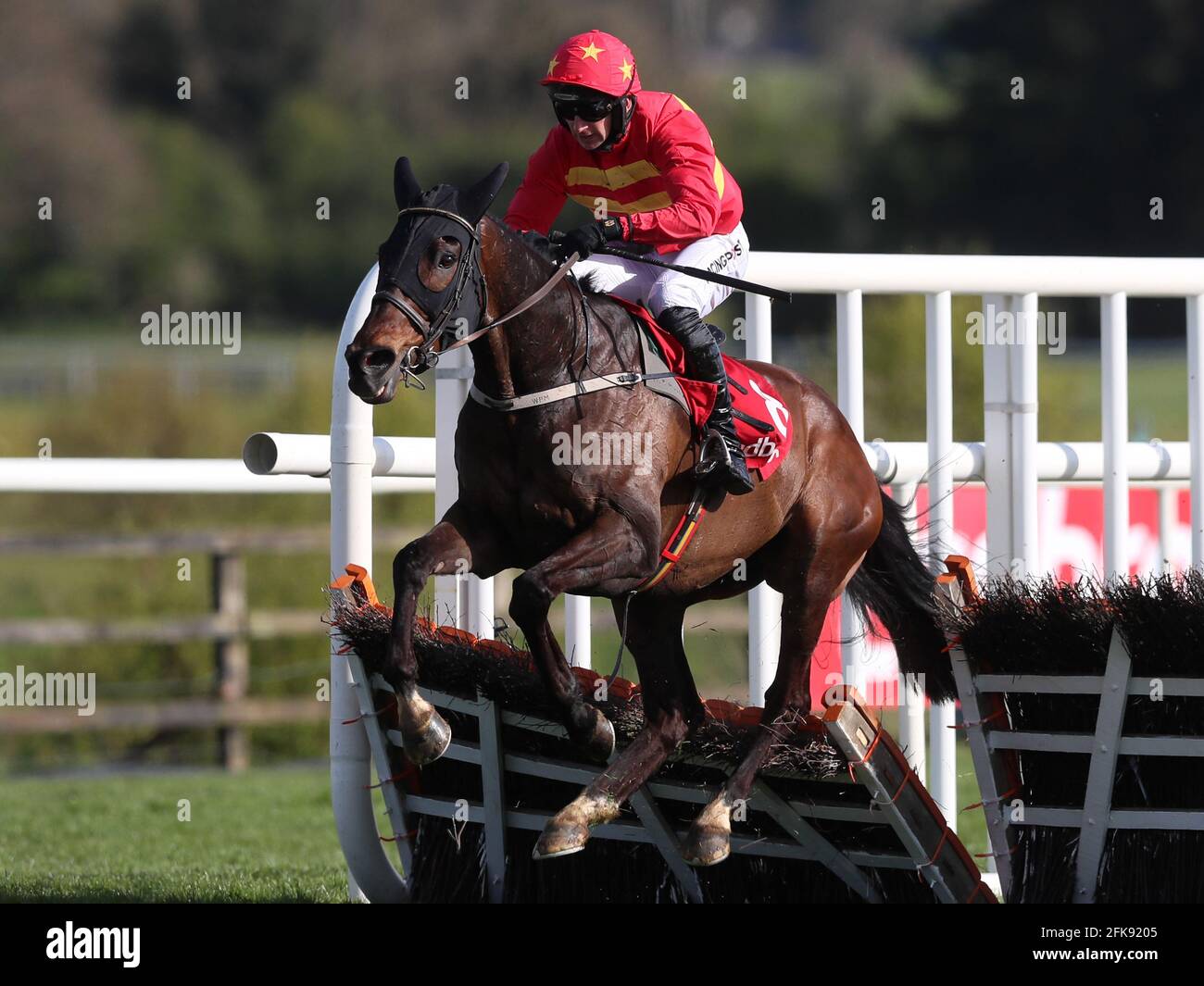 Klassical dream punchestown hires stock photography and images Alamy