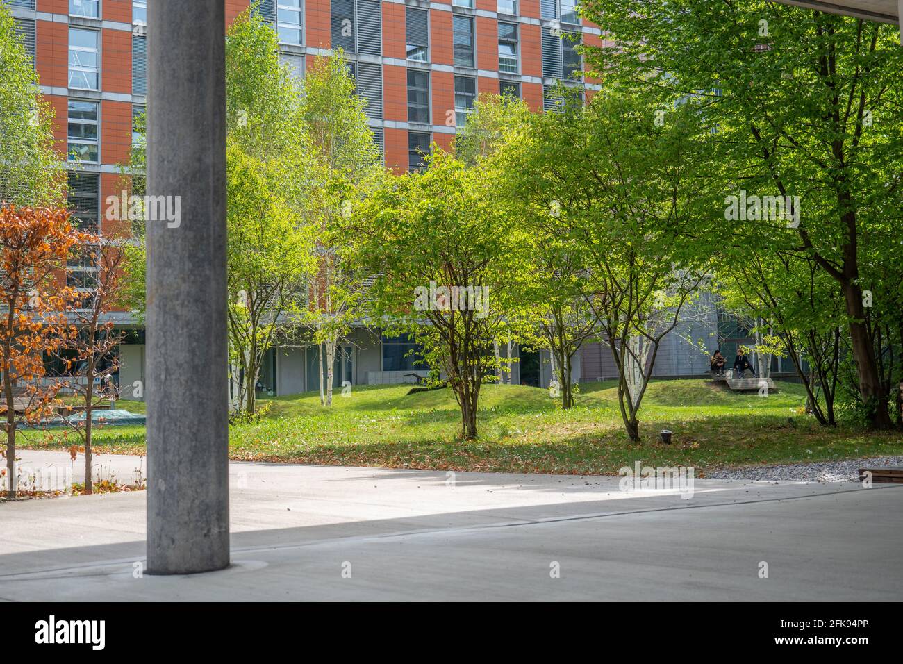 Zurich, Switzerland - April 19th 2020: Urban green in a courtyard and a ...