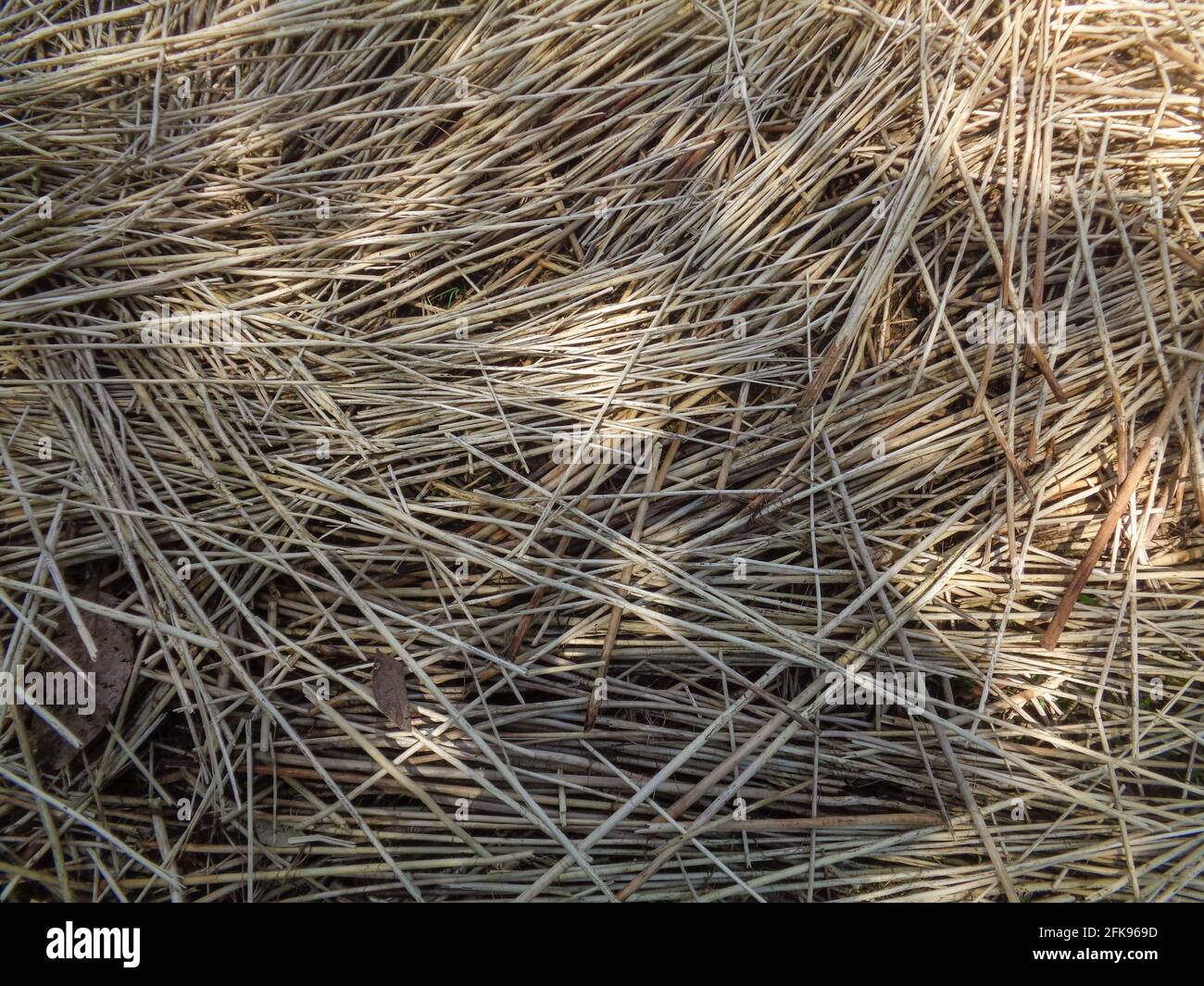 White jute fiber hi-res stock photography and images - Alamy