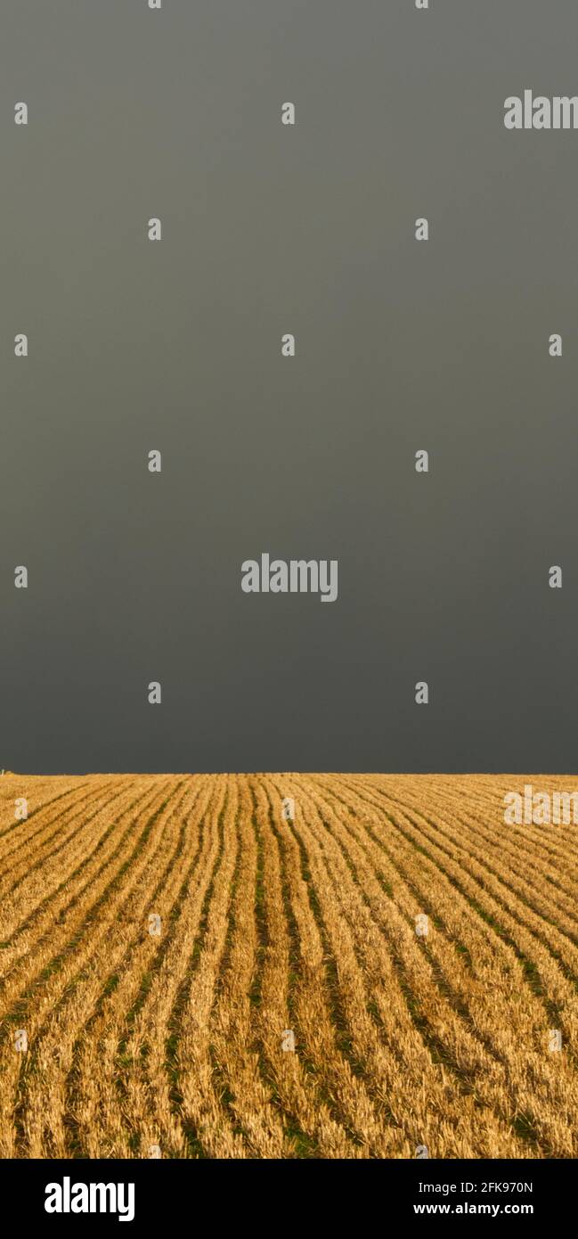 Stormy sky above sunlit fields Stock Photo