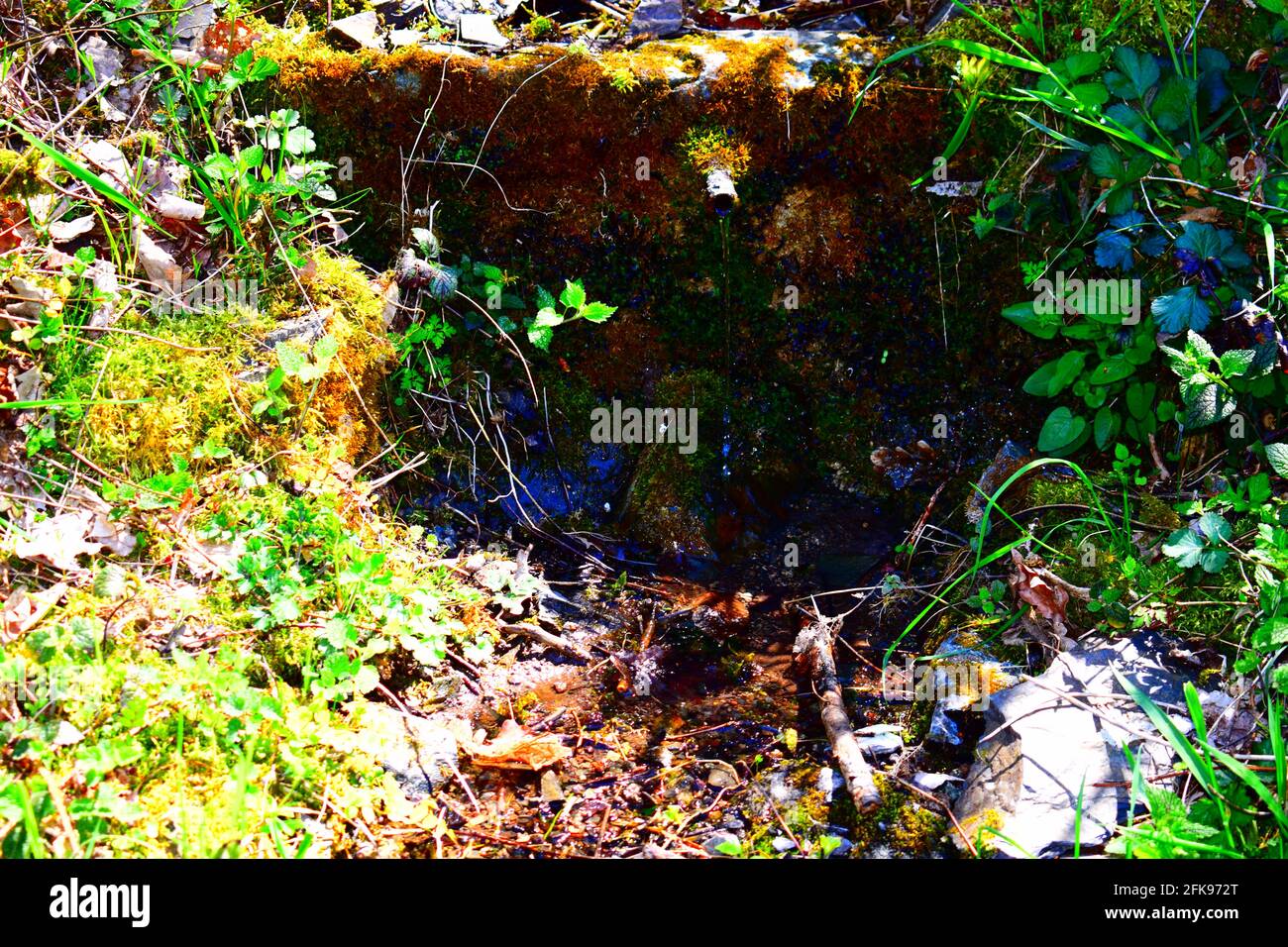 little cascade in spring Stock Photo - Alamy