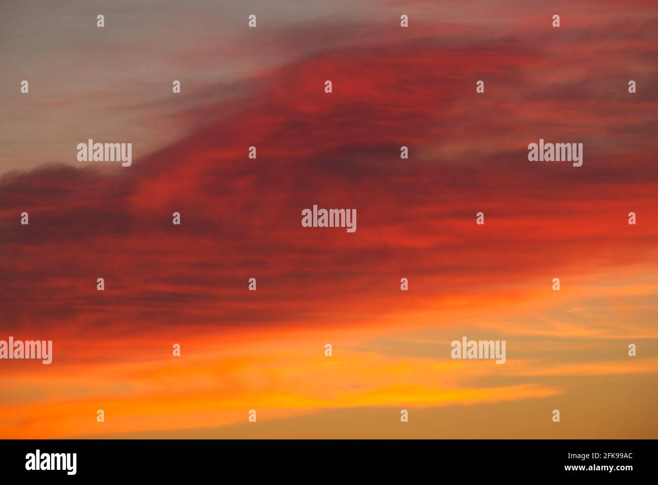 Sunlit cirrus clouds, Scotland Stock Photo