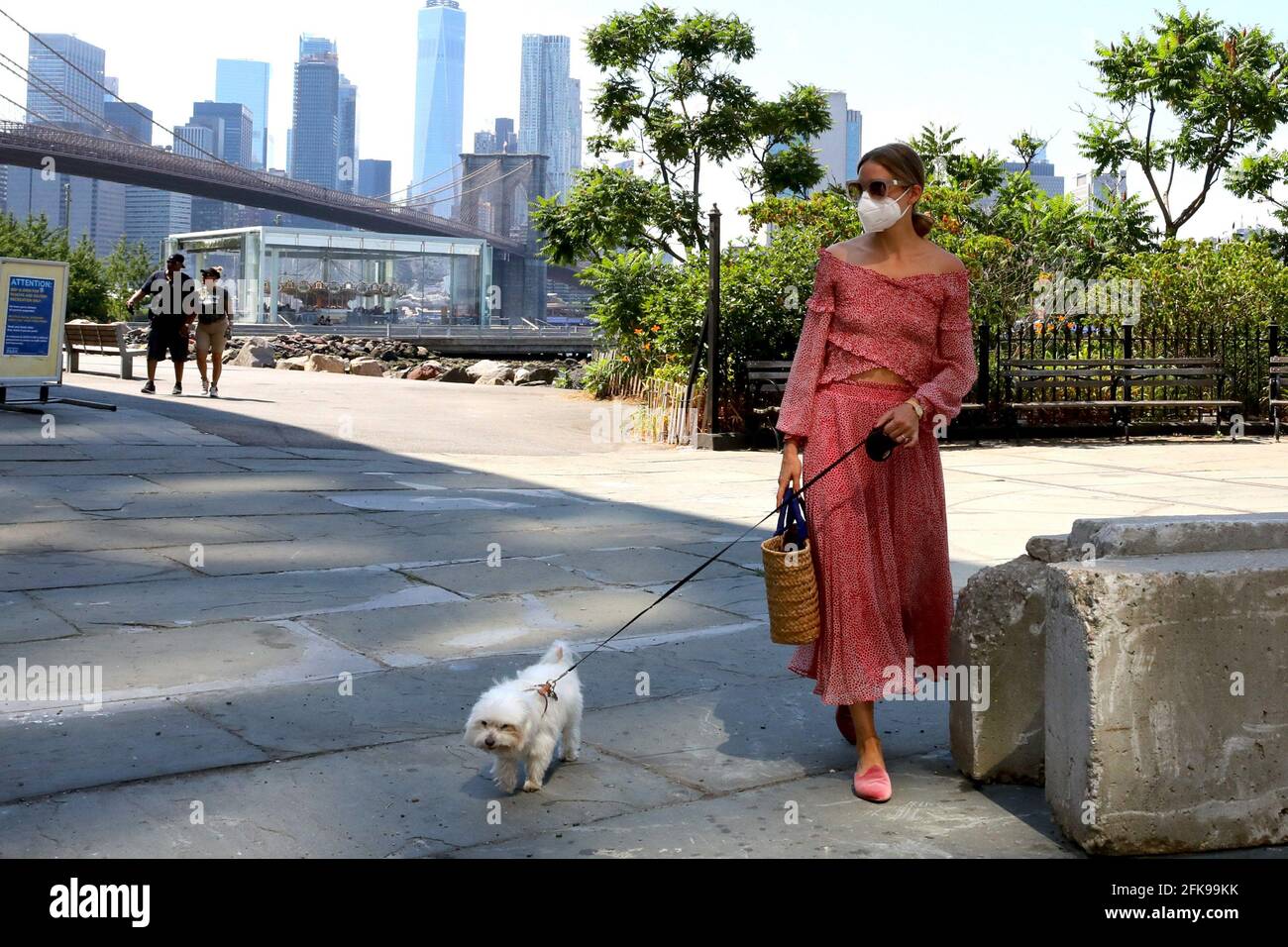 New York - NY - 20200622 Olivia Palermoin a pink summer dress ,takes her  dog 'Mr Butler' out for a walk in DowntownBrooklyn. -PICTURED: Olivia  Palermo Jose Perez Stock Photo - Alamy