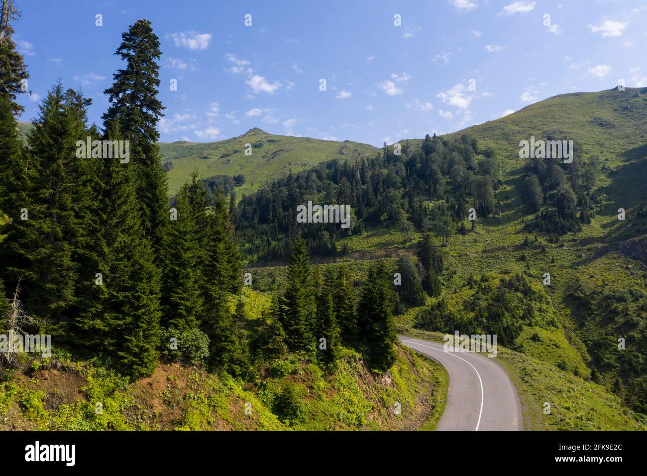 Asphalt road among the forest view from the drone Stock Photo - Alamy