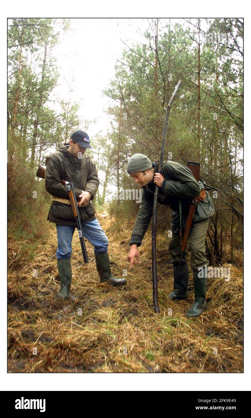 Wild Boar hunting at 'CHASSE DE LA LOIRE' in France....Chef Director of Caprice Holdings Ltd. Mark Hix  on a hunting trip to Chasse de la Loire, Host Niels Bryan-Low guides Mark through the forest in search of  wild Boar.pic David Sandison 2/3/2003 Stock Photo