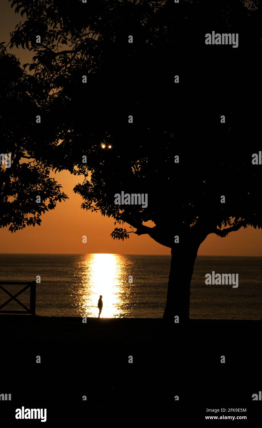 silhouette of a man on the beach against the sea at golden hour Stock ...