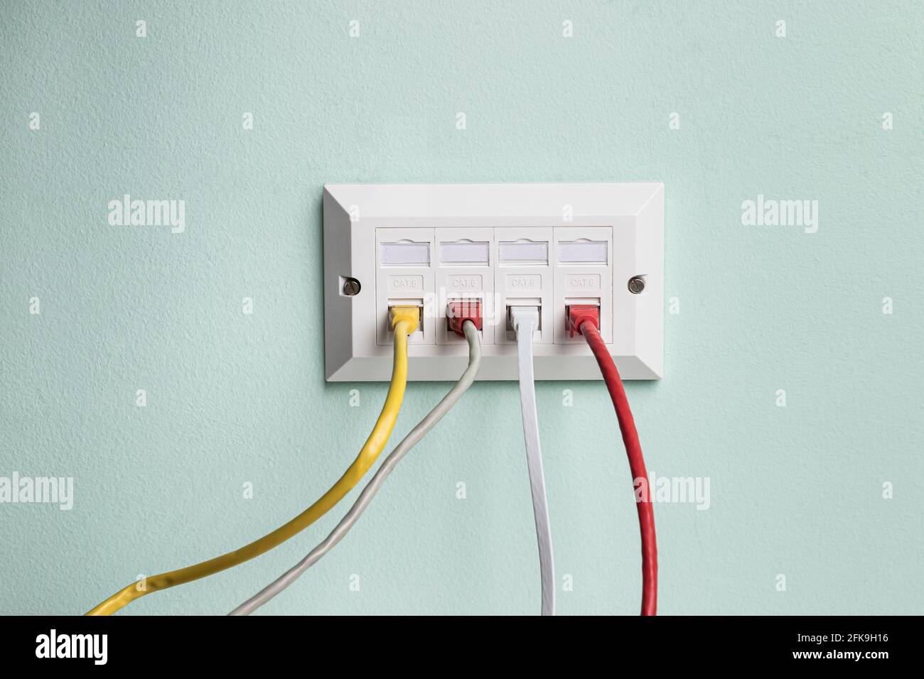 Data CAT6 Double Socket Quad Port Faceplate with four network cables