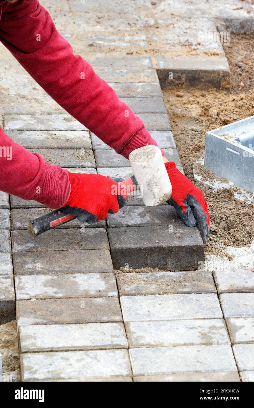 A worker's hands lay the paving slabs on the prepared flat sandy soil on the sidewalk in the daytime. Vertical image, copy space. Stock Photo