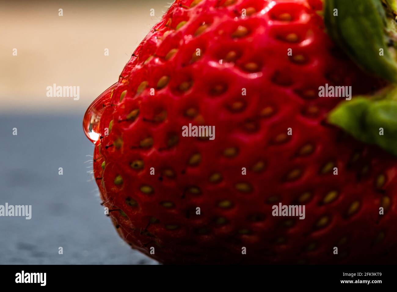 Close up of fresh strawberry showing seeds achenes. Water drop on fresh ...