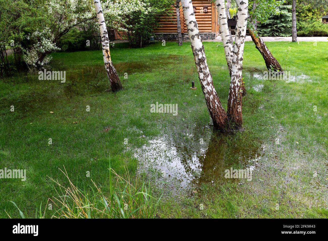 Garden bushes, tree and green grass lawn covered with water due to snow melting thaw and flash high water at spring. Natural disaster deluge flooded Stock Photo