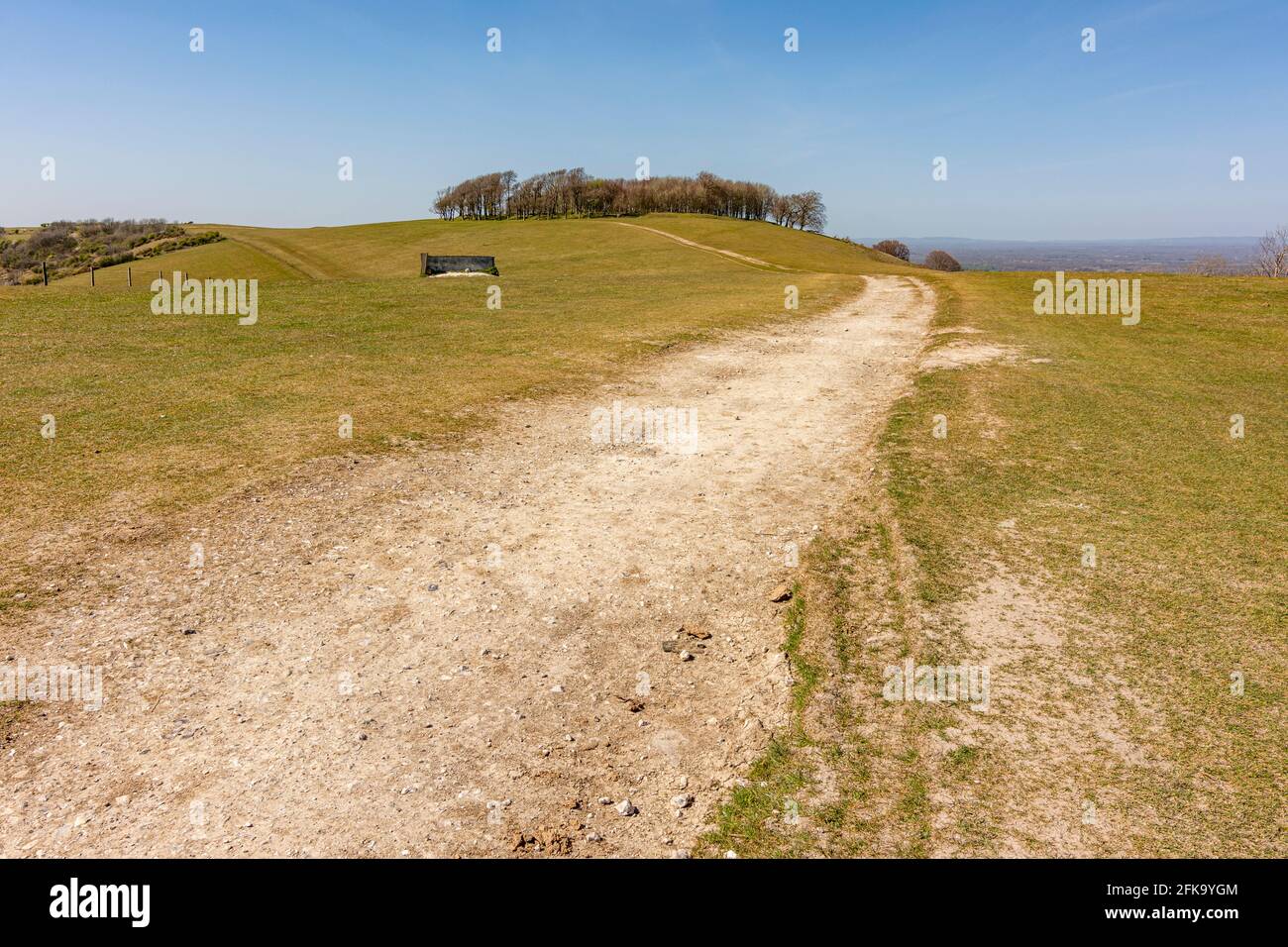 The South Downs Way National Trail heading towards Chanctonbury Ring - South Downs National Park, West Sussex, UK. Stock Photo